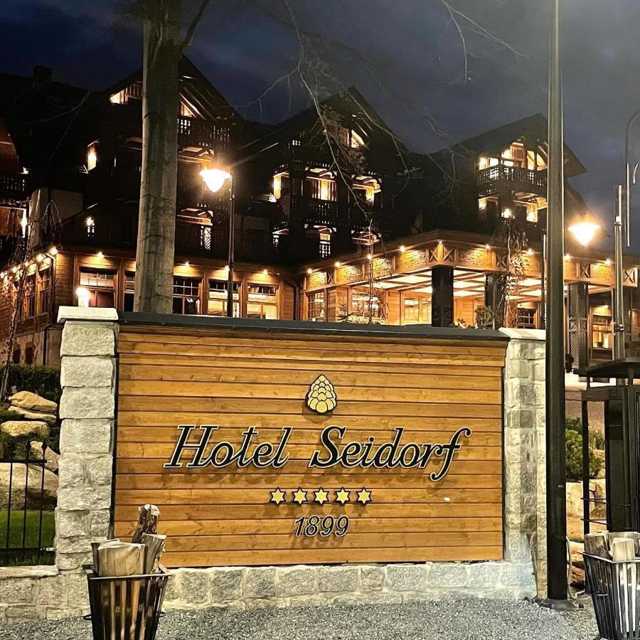 Hotel Seidorf Kolo Karpacza Sosnówka 外观 照片