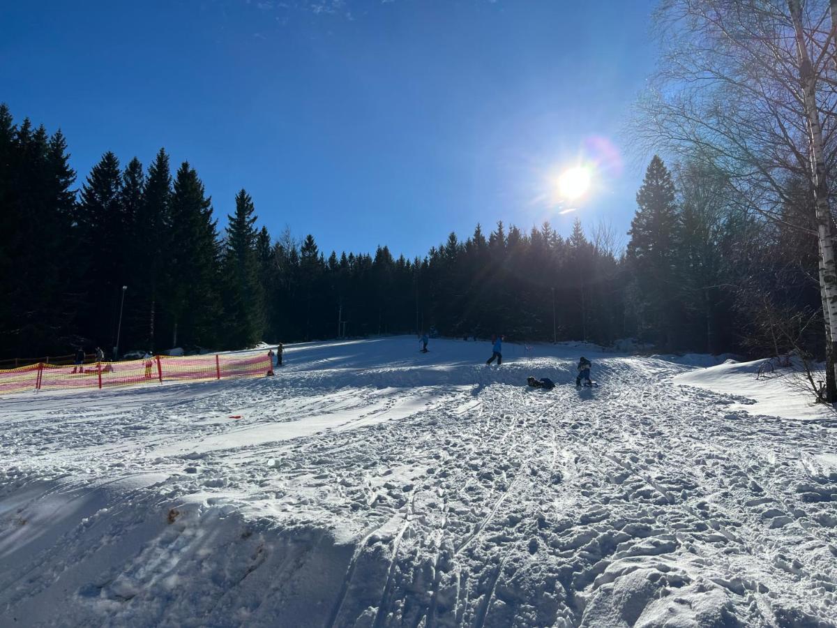 Hotel Seidorf Kolo Karpacza Sosnówka 外观 照片