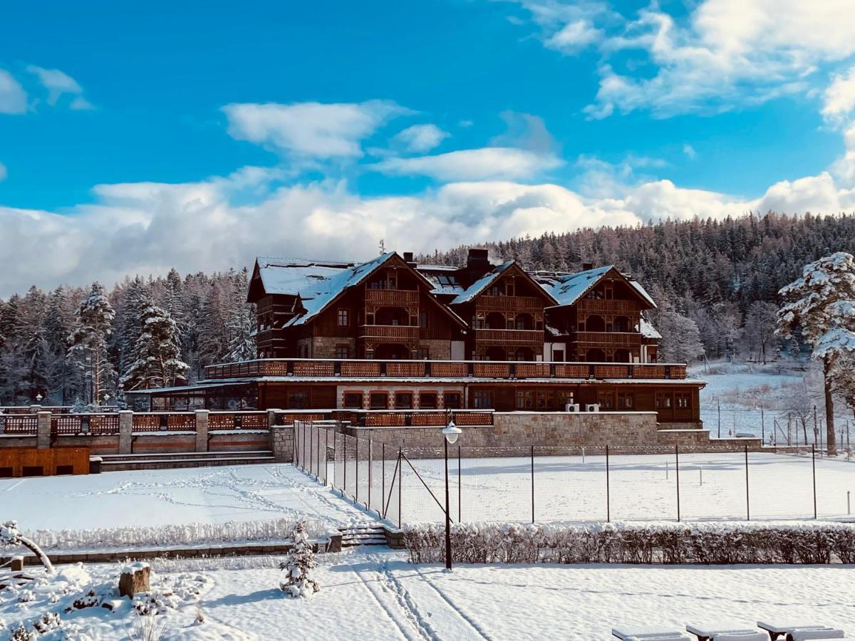 Hotel Seidorf Kolo Karpacza Sosnówka 外观 照片